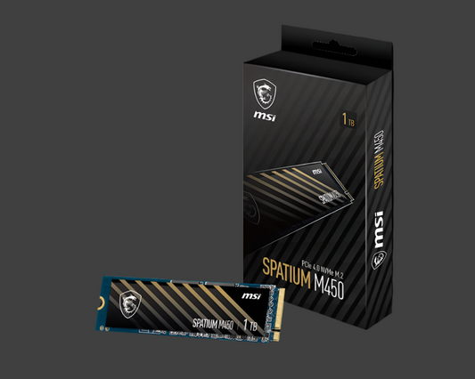 MSI Spatium M450 1TB V1 1TB PCIe Gen4x4 NVMe 3400/2400